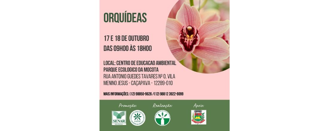 ORQUÍDEA