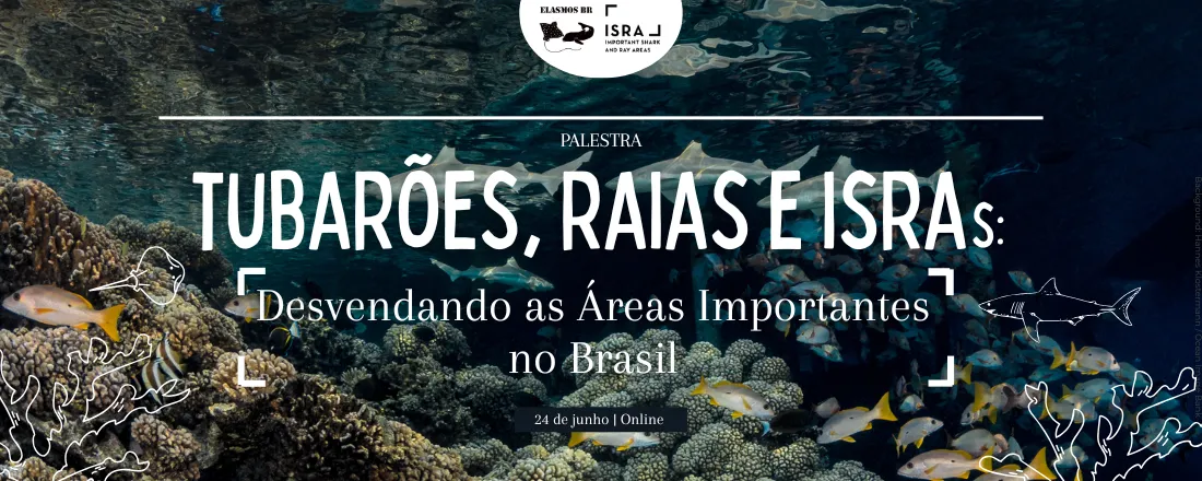 Tubarões, Raias e ISRAS: Desvendando as Áreas Importantes no Brasil