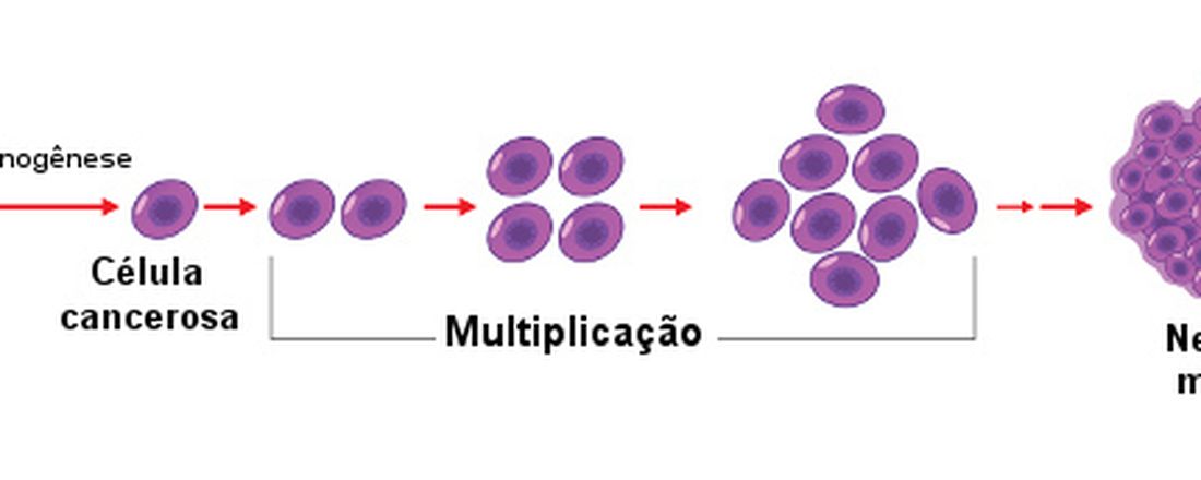 Mostra Fotográfica de Neoplasias