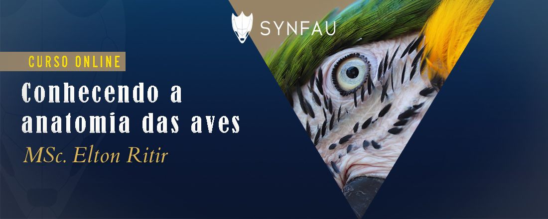 Conhecendo a Anatomia das Aves