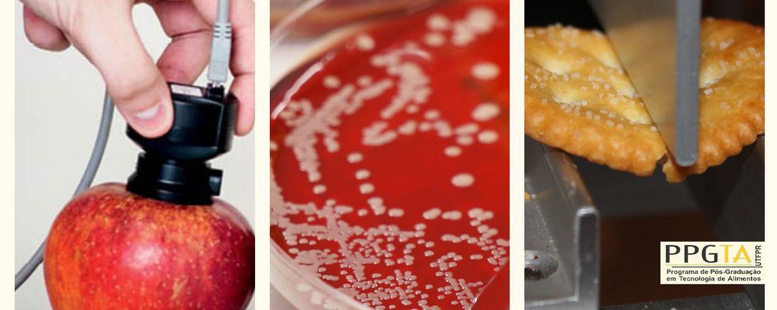 II Ciclo de Palestras da Pós-Graduação em Tecnologia de Alimentos da UTFPR