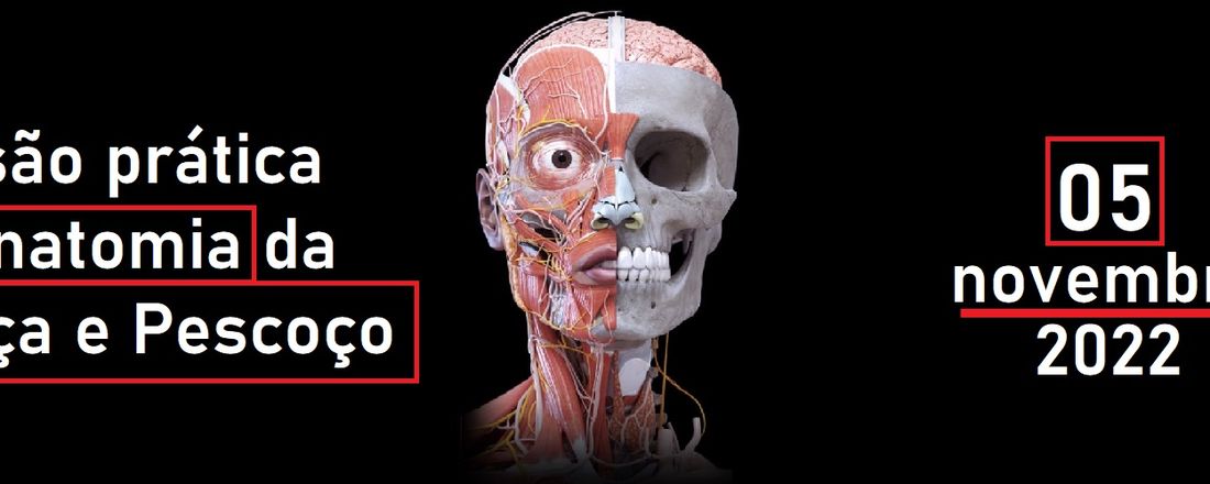 Imersão em Anatomia da Cabeça e Pescoço