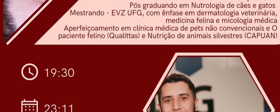 Cuidados pediátricos no paciente felino