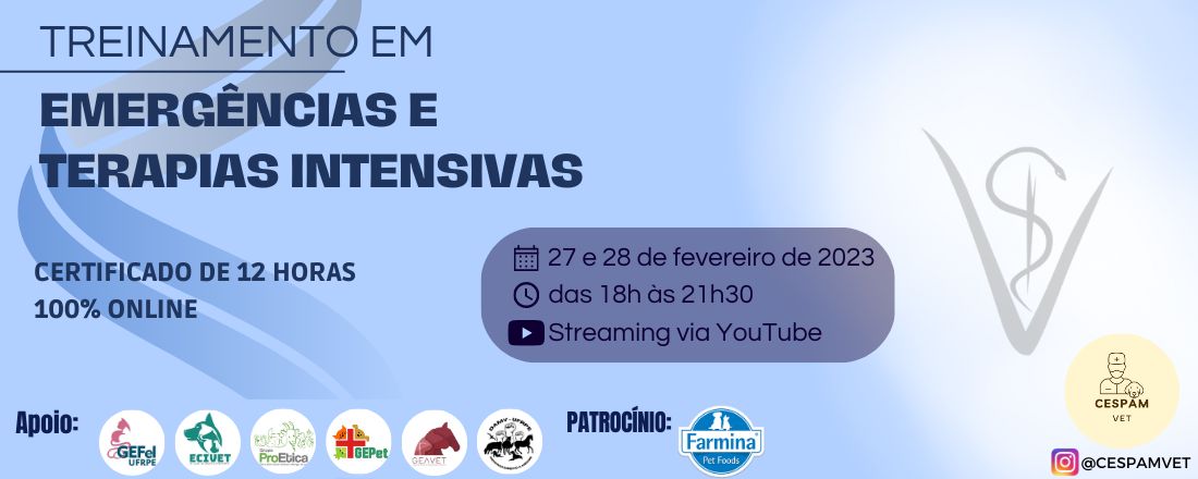 Treinamento em Emergências e Terapias Intensivas