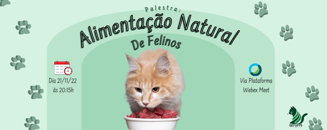 Alimentação Natural de Felinos