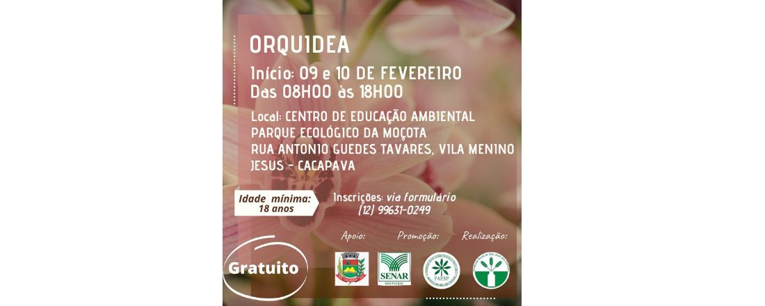 ORQUÍDEA