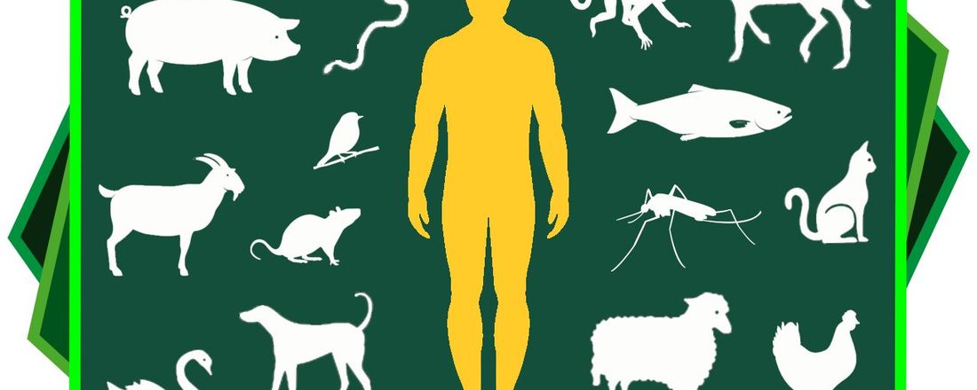 Atuação do Médico Veterinário na Saúde Pública e ações de Saúde Pública frente à uma pandemia