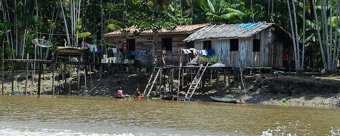 Webnário sobre Estudos Interdisciplinares na Amazônia  (WEINA-2021)