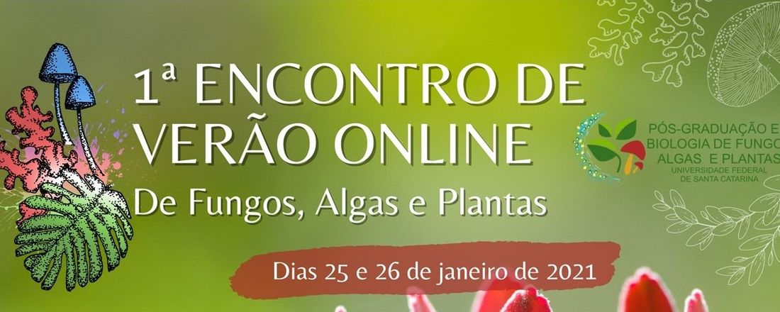 1º Encontro de Verão Online