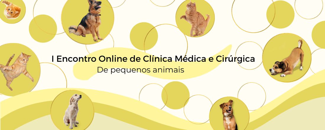 I Encontro Online de Clínica Médica e Cirúrgica