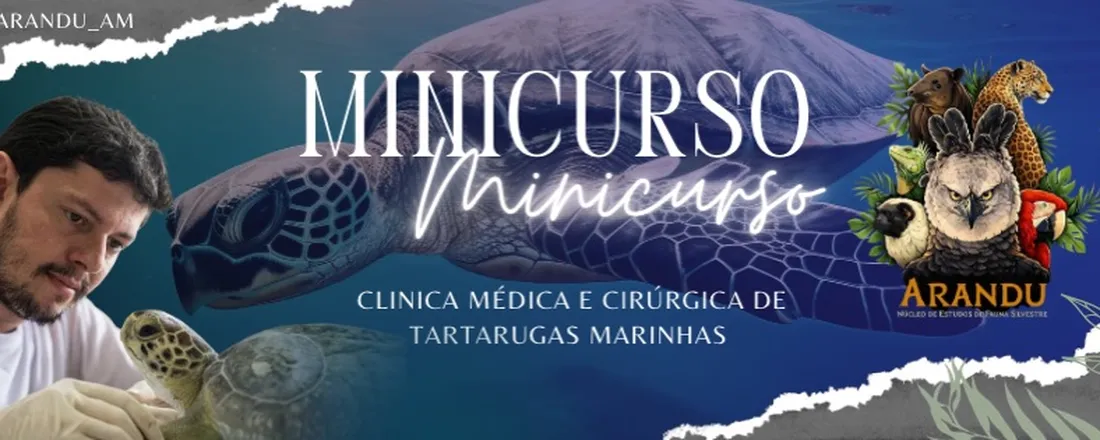Clínica Médica e Cirúrgica de Tartarugas Marinhas