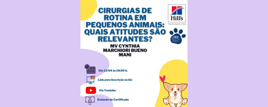 Cirurgias de rotina em pequenos animais: quais atitudes são relevantes?