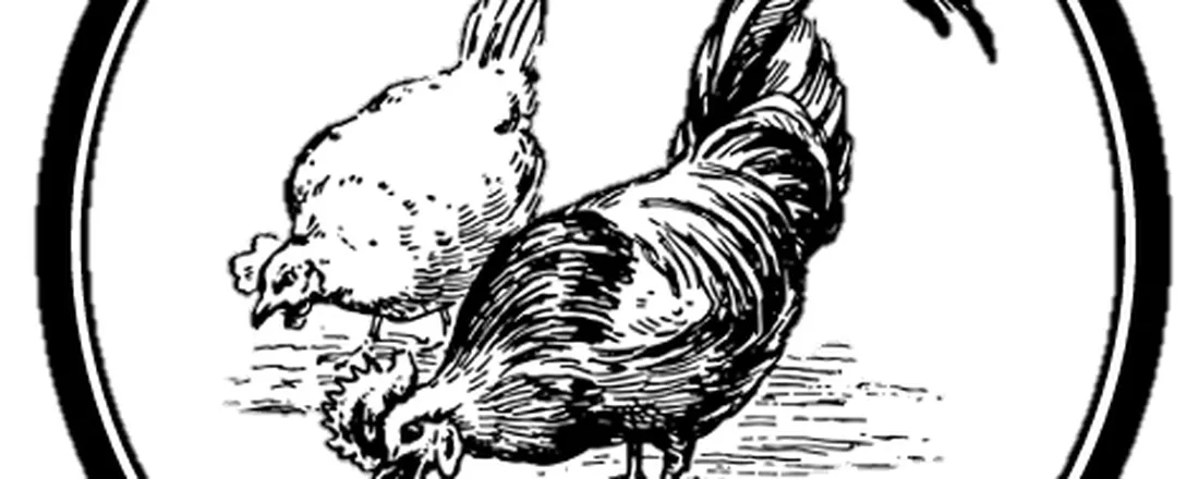 Um dia para o avicultor