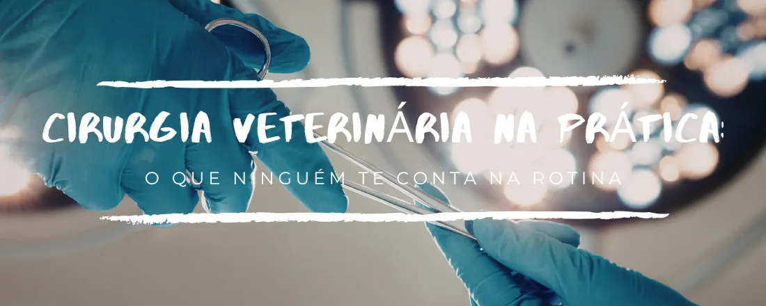 Cirurgia Veterinária na Prática: o que ninguém te conta na rotina