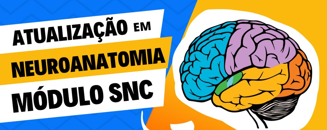 Atualização em Neuroanatomia: Módulo SNC