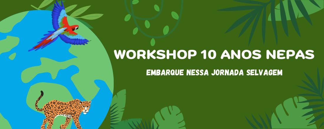 Workshop NEPAS 10 anos