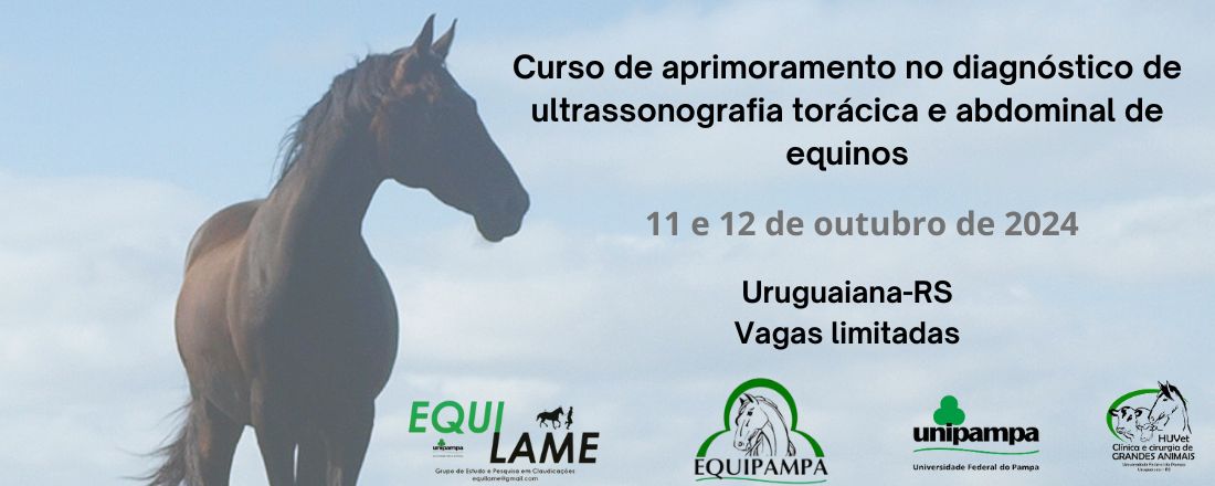 Curso de aprimoramento no diagnóstico de ultrassonografia torácica e abdominal de equinos