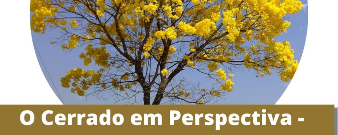 O Cerrado em Perspectiva - Territórios, Saberes e Educação: olhares para o futuro