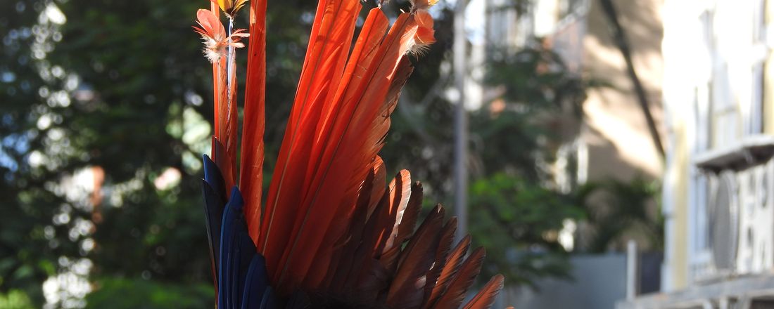 CICLO DE SEMINÁRIOS DE APRESENTAÇÃO DO NÚCLEO DE ESTUDOS E PESQUISAS DE POVOS E COMUNIDADES TRADICIONAIS NA PAN-AMAZÔNIA (NEPEPAM)