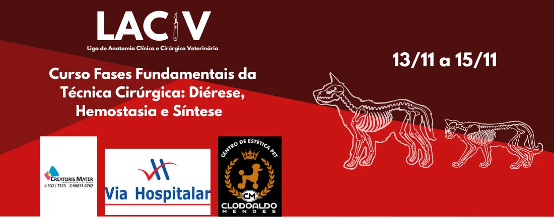 Fases Fundamentais da Técnica Cirúrgica: Diérese, Hemostasia e Síntese