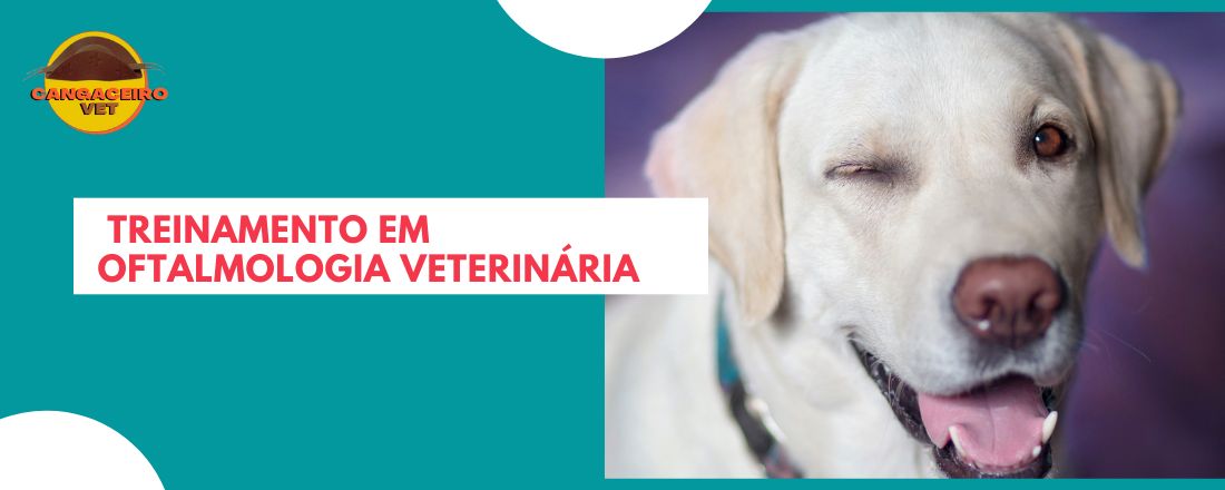 TREINAMENTO EM OFTALMOLOGIA VETERINÁRIA