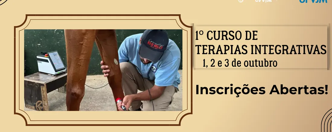 1° Curso de Terapias Integrativas - GEEQUI UFVJM