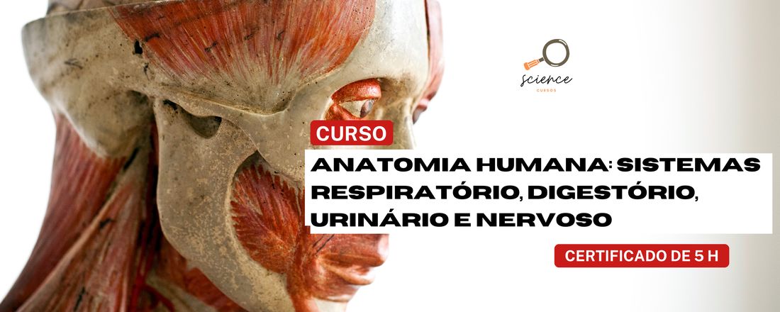 ANATOMIA HUMANA: SISTEMAS RESPIRATÓRIO, DIGESTÓRIO, URINÁRIO E NERVOSO