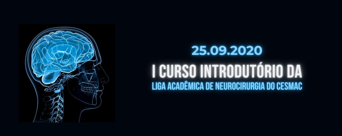 I Curso Introdutório da LANCIC