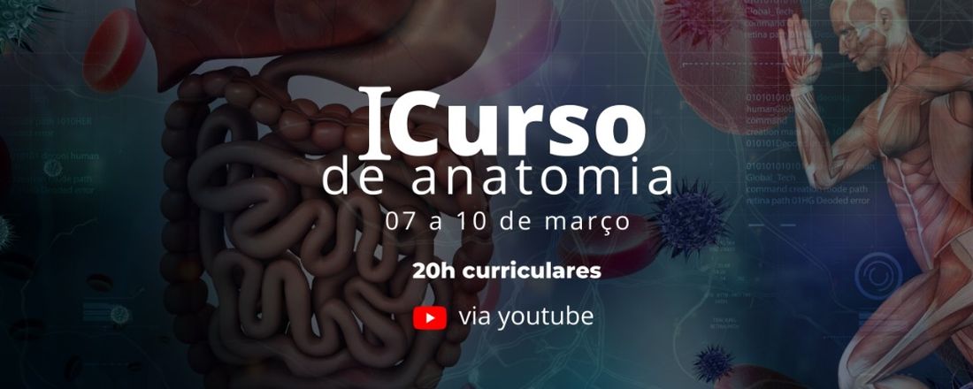 Curso de anatomia do sistema digestório