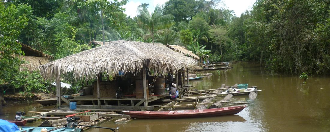 V Seminário Internacional em Ciências do Ambiente e Sustentabilidade na Amazônia