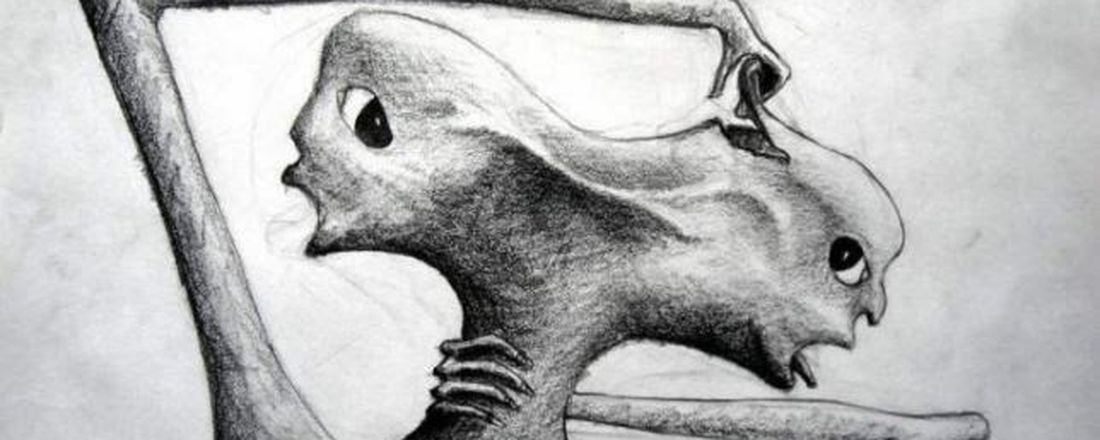 Luta Antimanicomial : Psicanálise e Saúde Mental