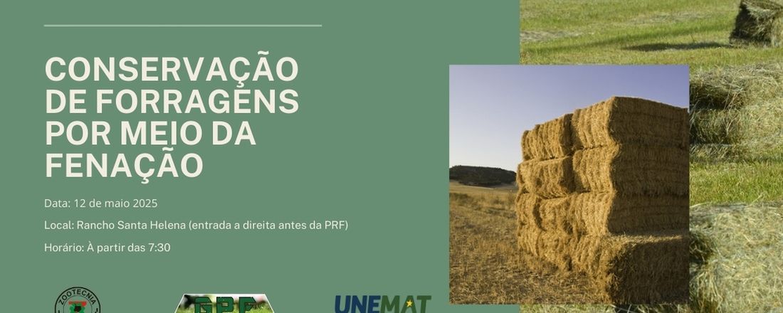 Conservação de forragem por meio de fenação