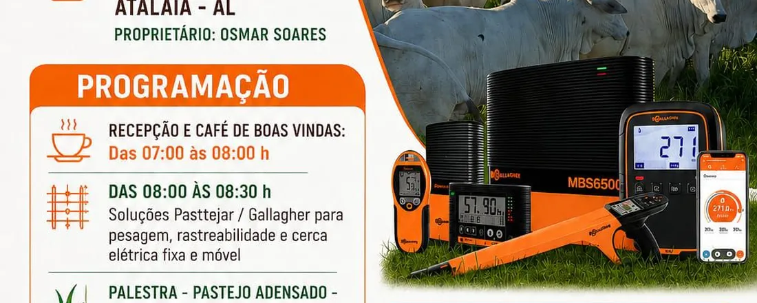 Café da Manhã