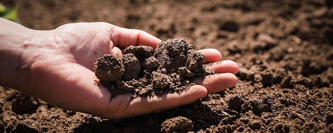 Curso Interpretação de Análise de Solos para Recomendação de Corretivos e Fertilizantes