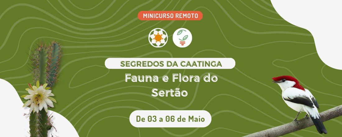 Segredos da Caatinga: fauna e flora do sertão