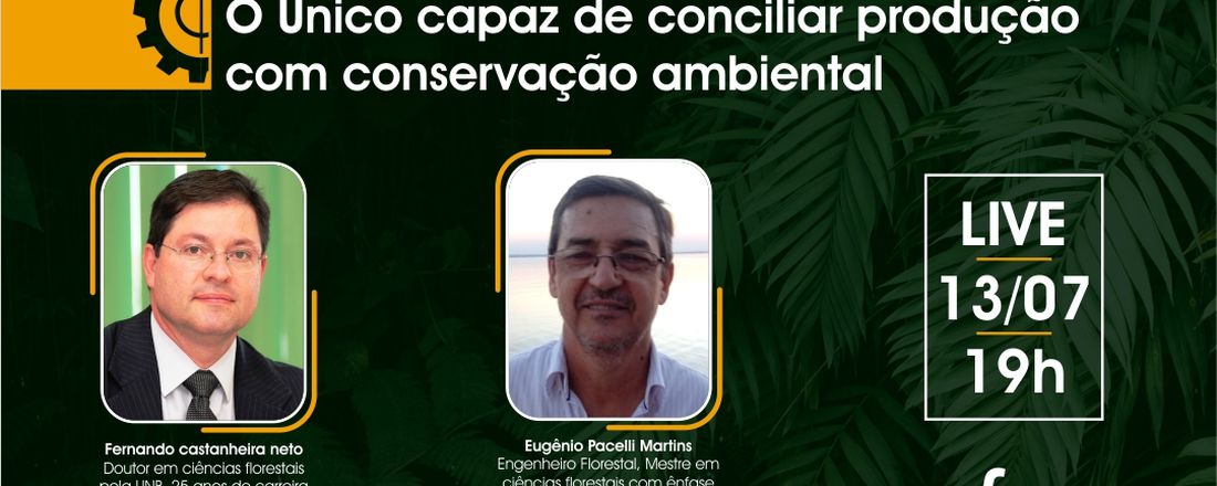 Engenheiro Florestal: O Único capaz de conciliar produção com conservação ambiental