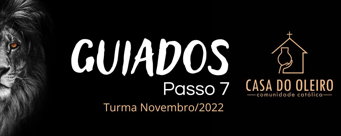 Guiados Passo 07/ Turma Novembro