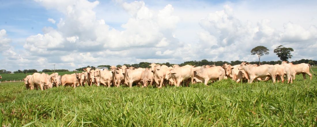 Implicação do Novo Código Florestal Brasileiro sobre a Pecuária Paraense