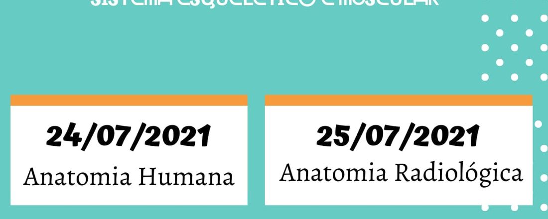 + Anatomia