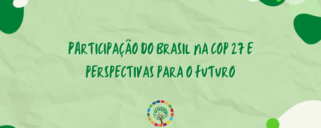 A participação do Brasil na COP27 e perspectivas para o futuro