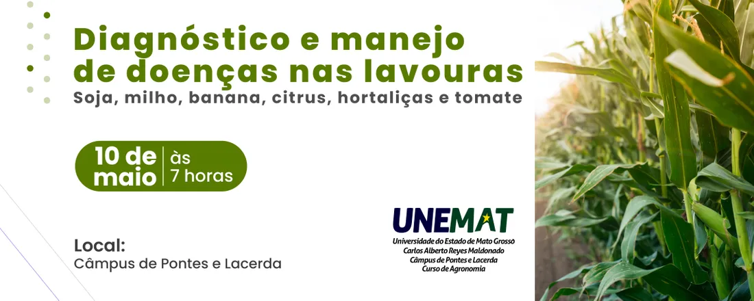 Diagnóstico e manejo de doenças nas lavouras