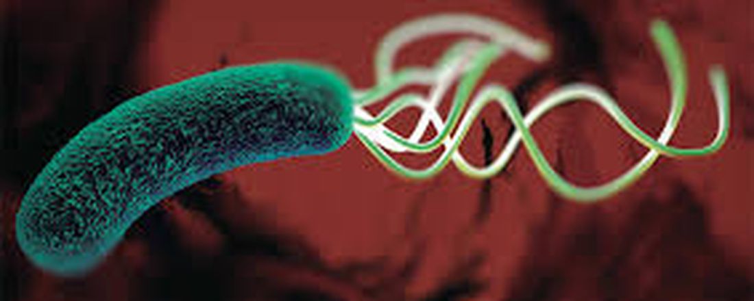 AULA ABERTA - INFECÇÃO POR HELICOBACTER PYLORI