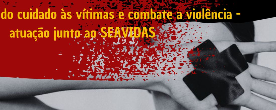 A importância do combate à violência e cuidado às vítimas : atuação do SEAVIDAS/HCRP