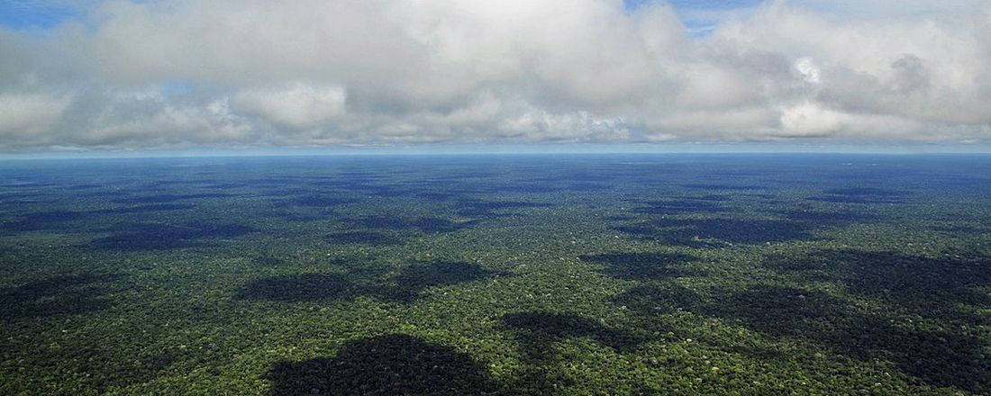 A grande descoberta Arqueológica da Amazônia