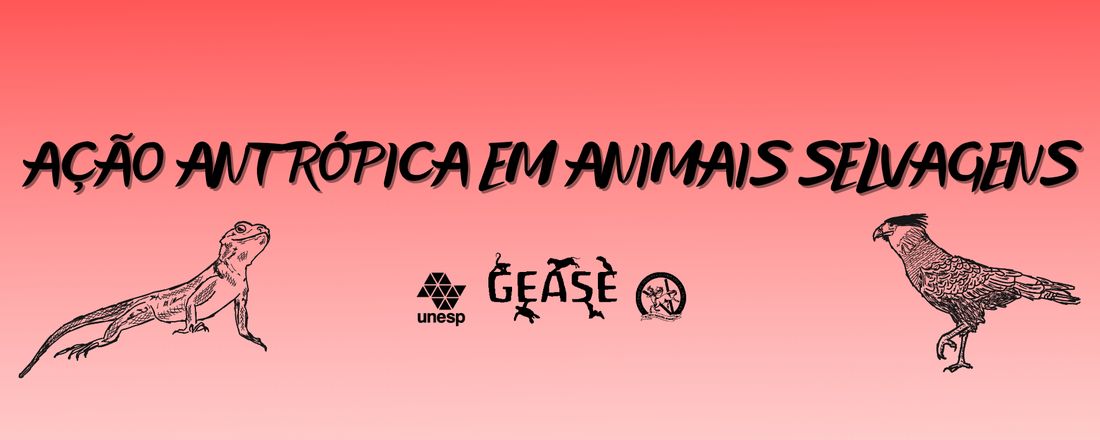 Palestra "Ação antrópica em animais selvagens"