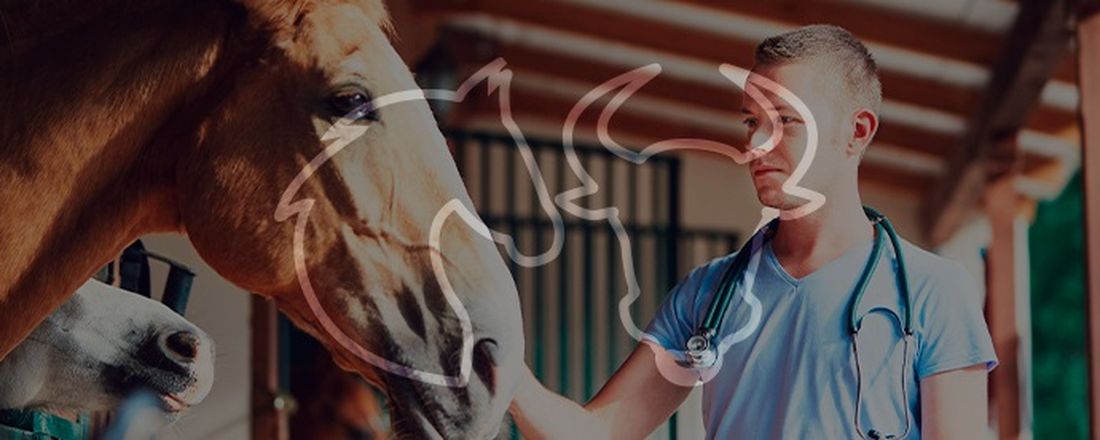 SIMVET - I Simpósio de Especialidades Médicas Veterinárias