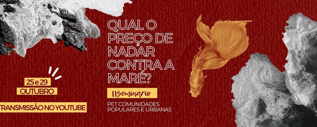 QUAL O PREÇO DE NADAR CONTRA A MARÉ? -  II SEMINÁRIO DO PET COMUNIDADES POPULARES URBANAS - UFBA