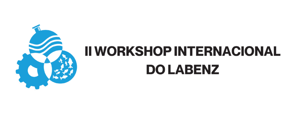 II Workshop internacional LABENZ