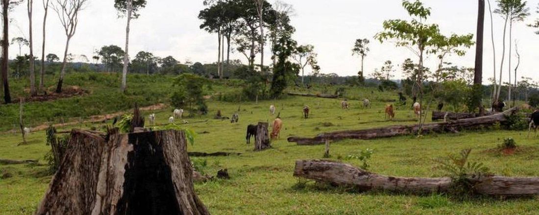 Palestra:  Um estudo antropológico sobre a pecuária no Estado do Acre