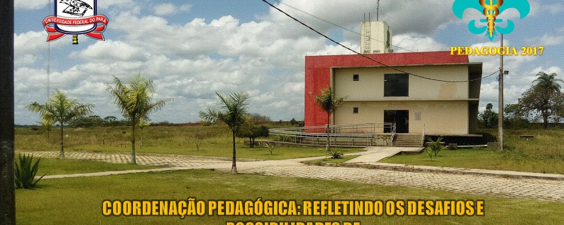 Coordenação Pedagógica: refletindo os desafios e possibilidades de ambientes escolares na contemporaneidade